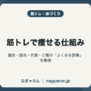 筋トレで痩せる仕組み