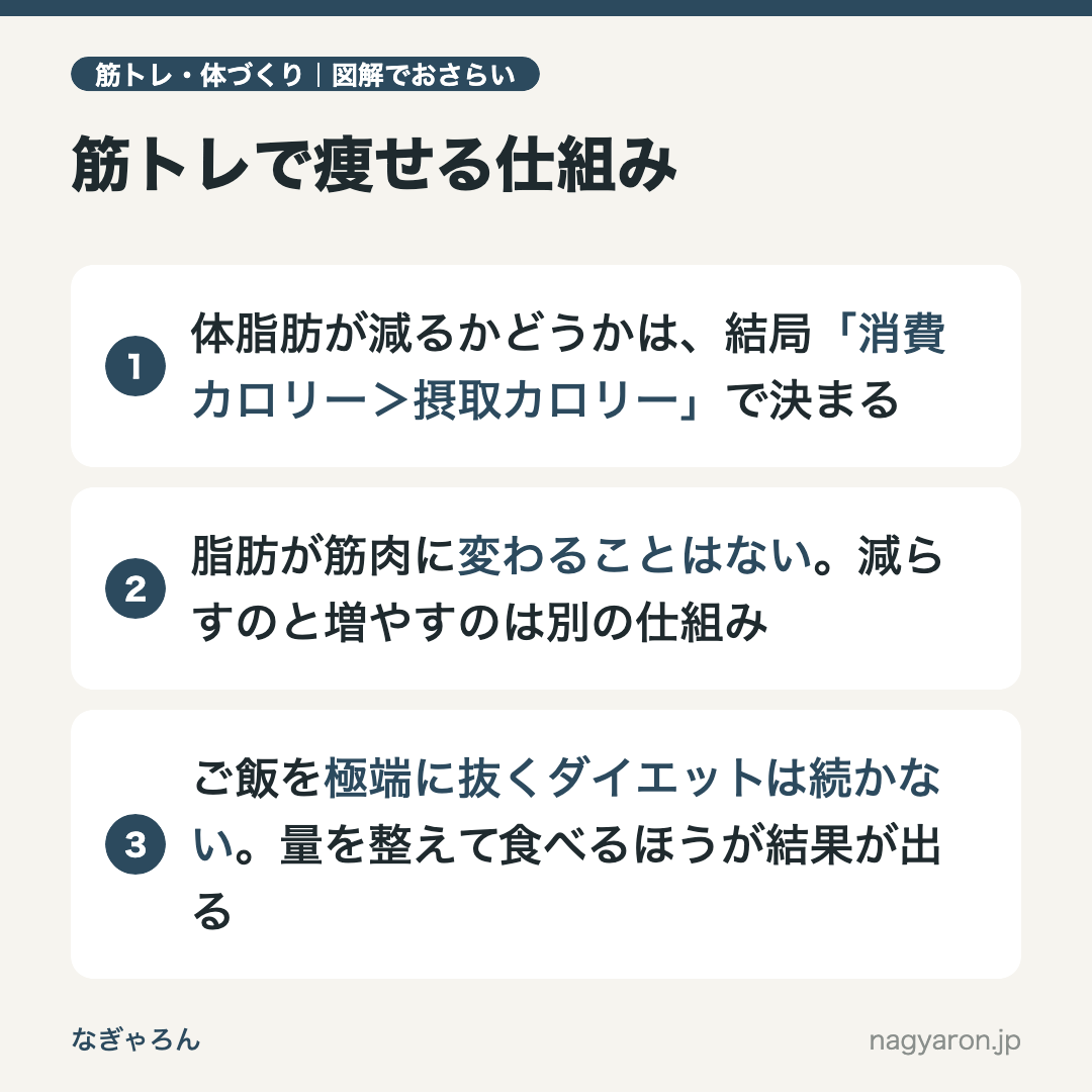 図解:筋トレで痩せる仕組みのポイント